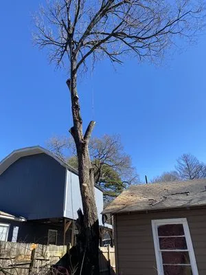 Elite Lawn&Tree Services Logo