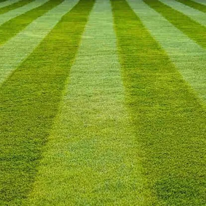 Local lawn mowing service for year-round maintenance across La Salle, MI - Elite Level Lawn Service