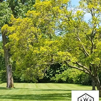 Professional outdoor landscaping for outdoor upgrades across La Salle, MI - Elite Level Lawn Service