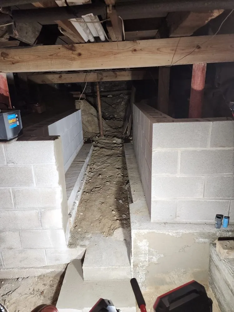 Trusted yard cleanup service in Killingly, CT - Elite Masonry and Hardscapes