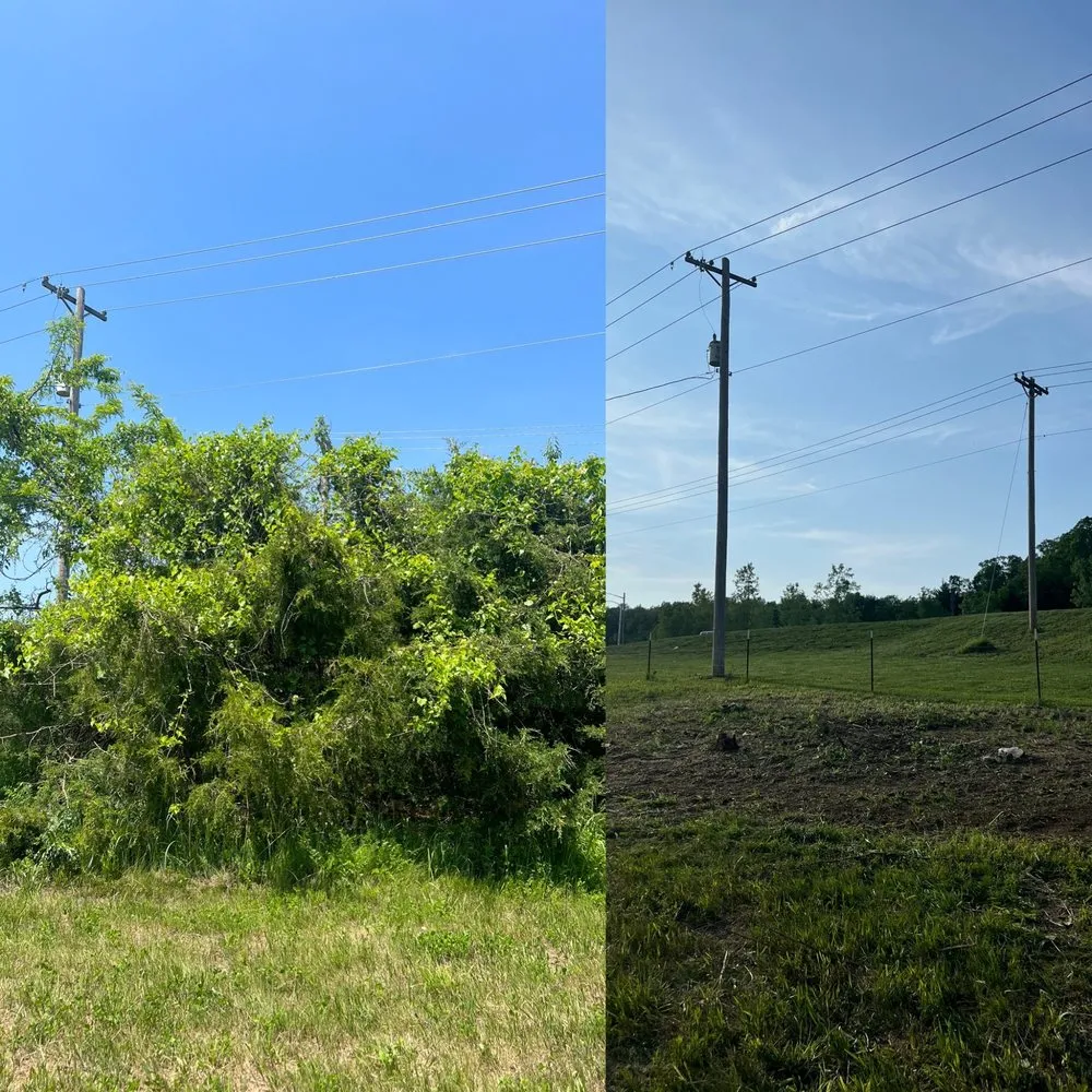 Custom residential landscaping for beautiful yards in Kansas City, KS by Elite Mowing And Services