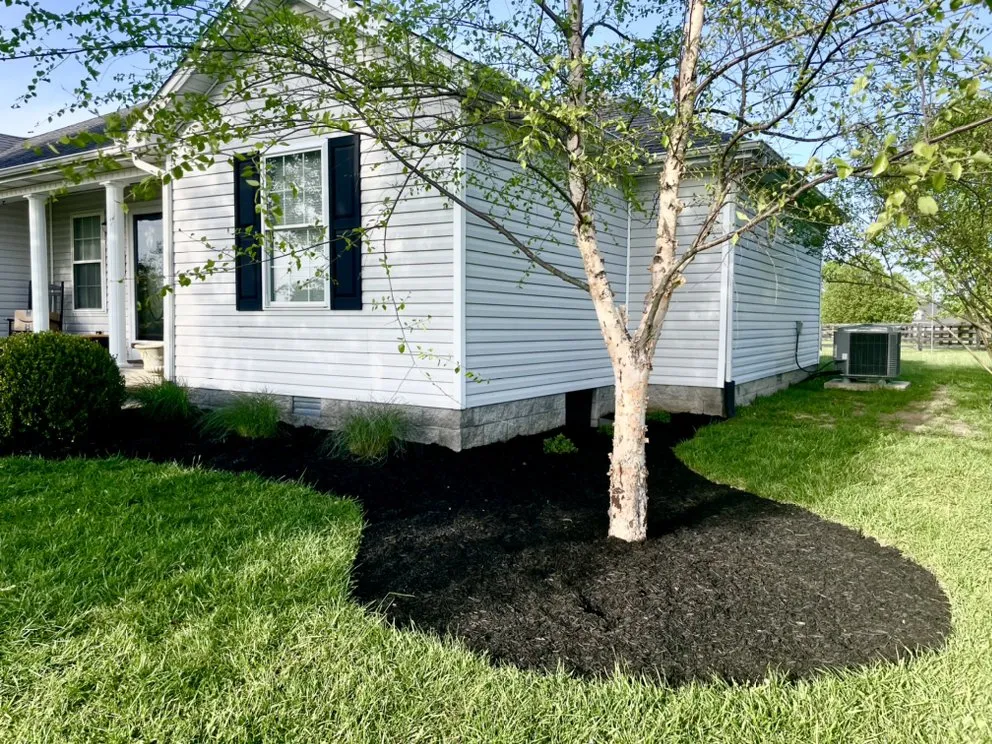 Professional landscaping services near you in Nicholasville, KY by Elite Mowing Services