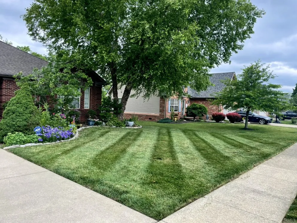 Local outdoor landscaping in Nicholasville, KY - Elite Mowing Services