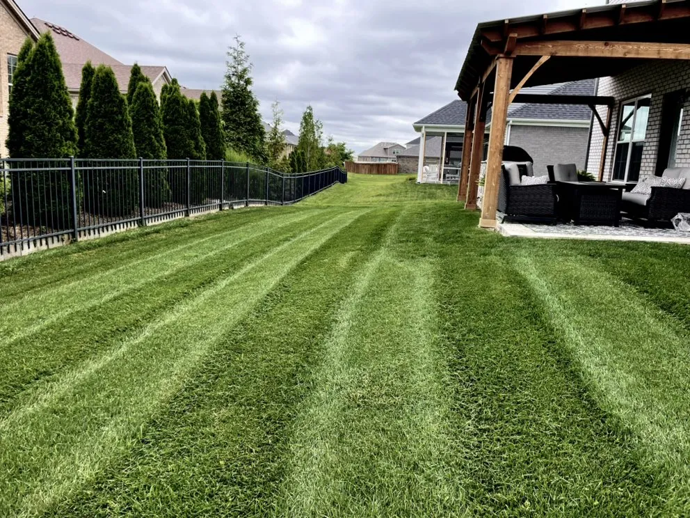 Professional landscaping services for year-round maintenance across Nicholasville, KY - Elite Mowing Services
