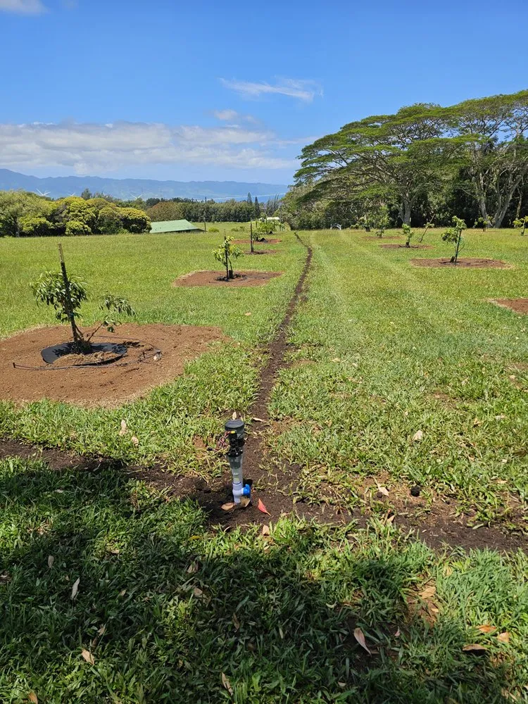 Trusted landscaping services experts serving Urban Honolulu, HI - Elite Outdoor Concepts