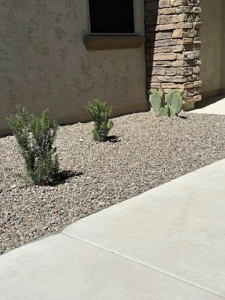 Affordable garden landscaping in Goodyear, AZ by Elite Outdoor Designs