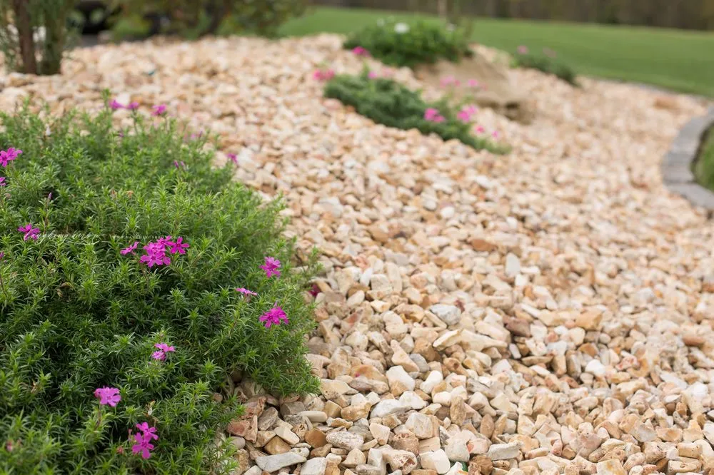 Reliable residential landscaping in Rogersville, MO - Elite Outdoor Innovations