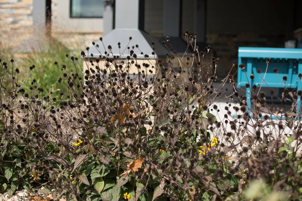 Trusted yard cleanup service for outdoor upgrades in Rogersville, MO by Elite Outdoor Innovations