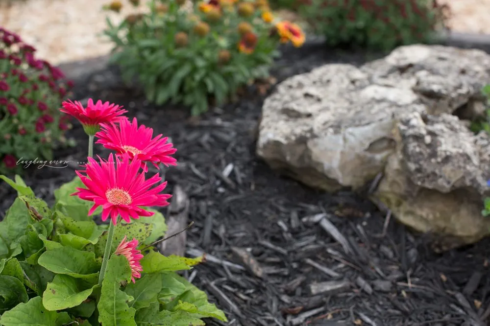 Top-rated yard maintenance for year-round maintenance across Rogersville, MO - Elite Outdoor Innovations