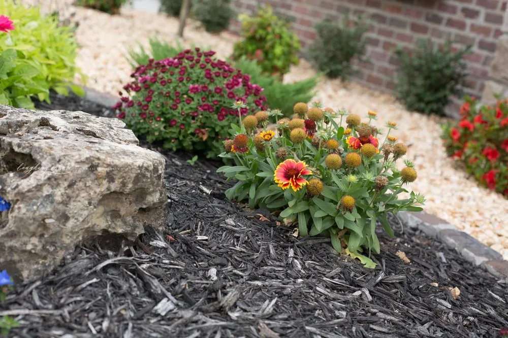 Custom yard cleanup service experts serving Rogersville, MO - Elite Outdoor Innovations