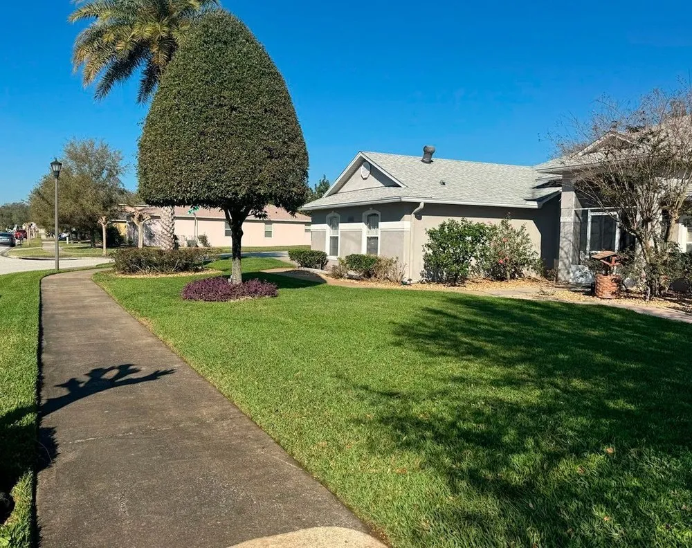Expert yard cleanup service in Clermont, FL - Elite Outdoor Scapes