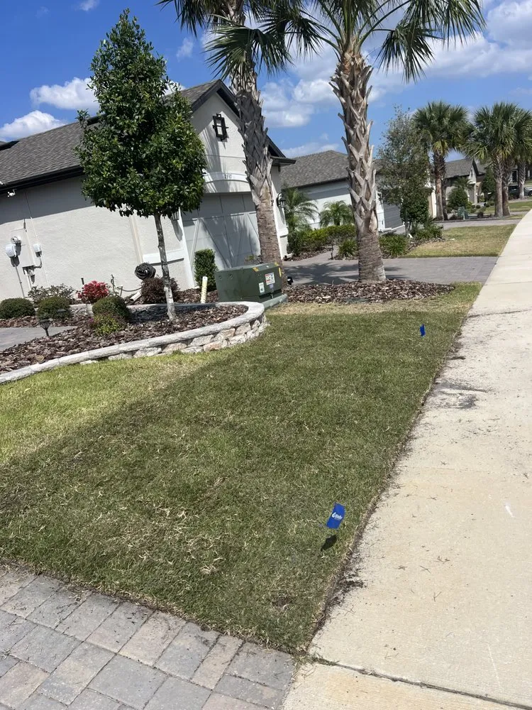 Trusted landscape installation for outdoor upgrades across Clermont, FL - Elite Outdoor Scapes