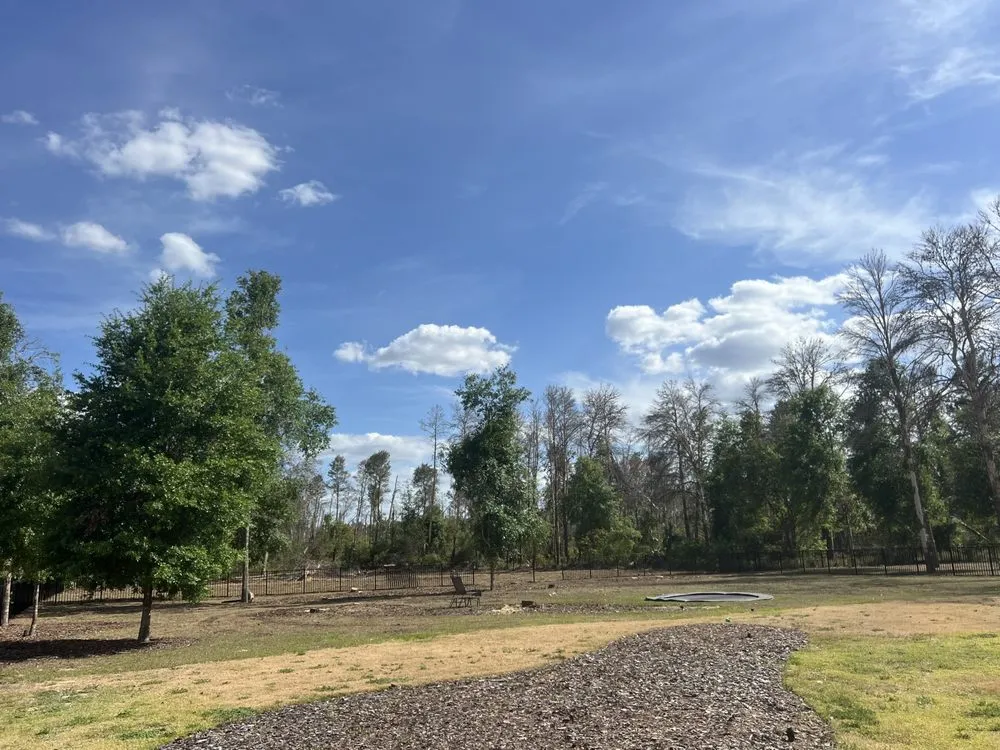 Top-rated landscape design for year-round maintenance in Clermont, FL by Elite Outdoor Scapes