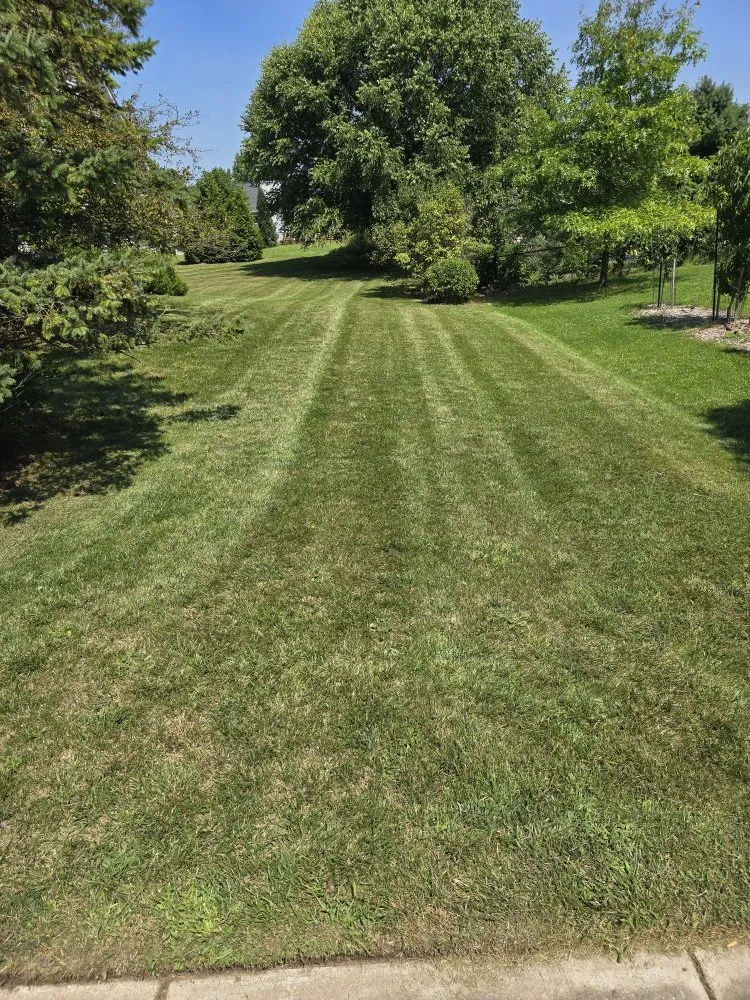 Expert yard cleanup service for year-round maintenance across Lansing, MI - Elite Outdoor Service