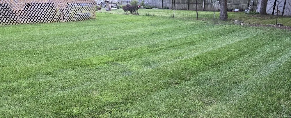 Top-rated landscape installation experts serving Lansing, MI - Elite Outdoor Service