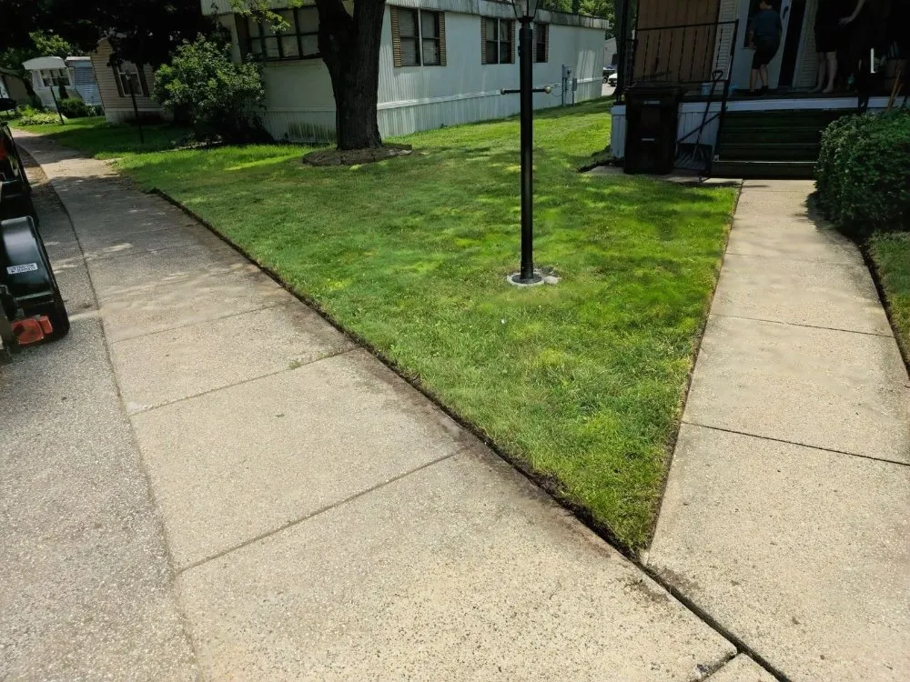 Trusted yard cleanup service for year-round maintenance in Lansing, MI by Elite Outdoor Service