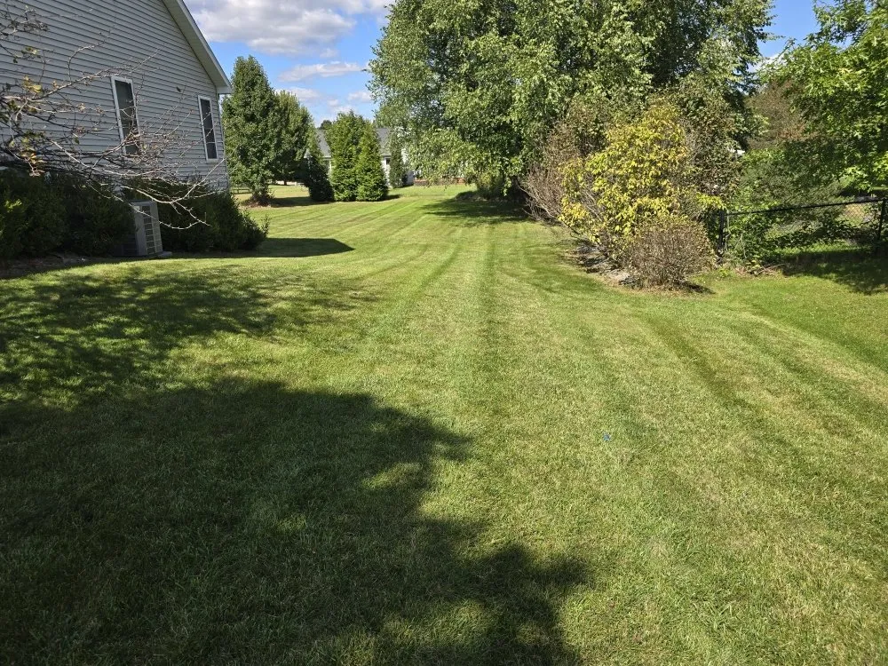 Top-rated landscape design for year-round maintenance in Lansing, MI by Elite Outdoor Service