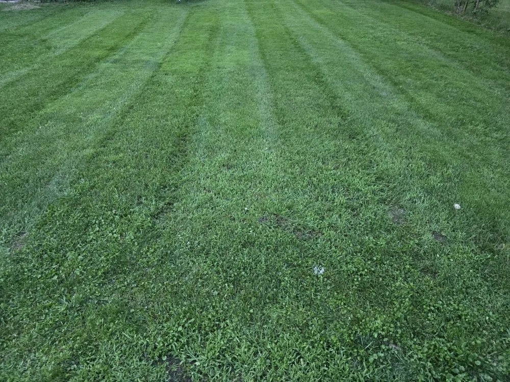 Top-rated landscape installation experts serving Lansing, MI - Elite Outdoor Service