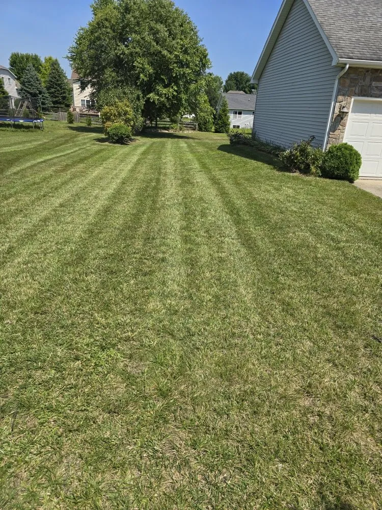 Top-rated outdoor landscaping for beautiful yards across Lansing, MI - Elite Outdoor Service