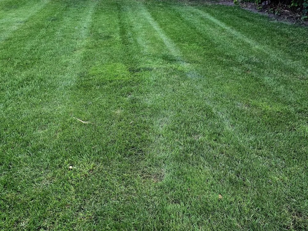 Affordable garden landscaping in Lansing, MI by Elite Outdoor Service