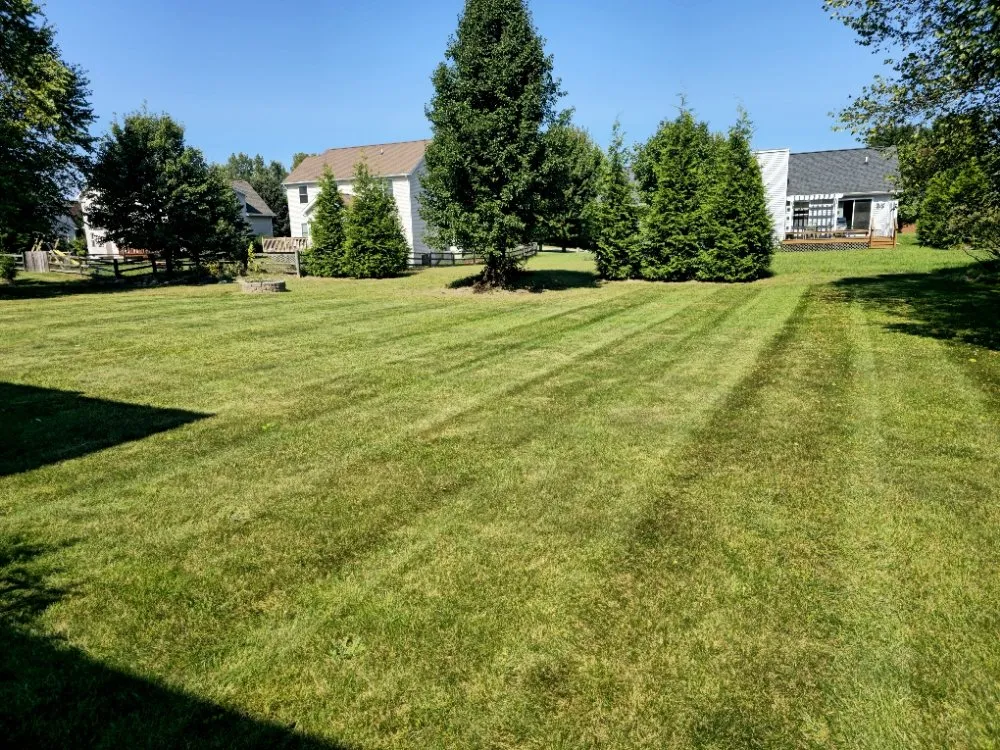Reliable yard cleanup service for residential properties across Lansing, MI - Elite Outdoor Service