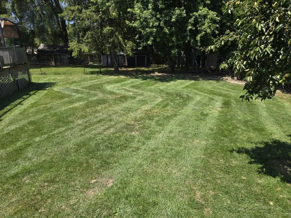 Trusted landscape installation in Lansing, MI by Elite Outdoor Service