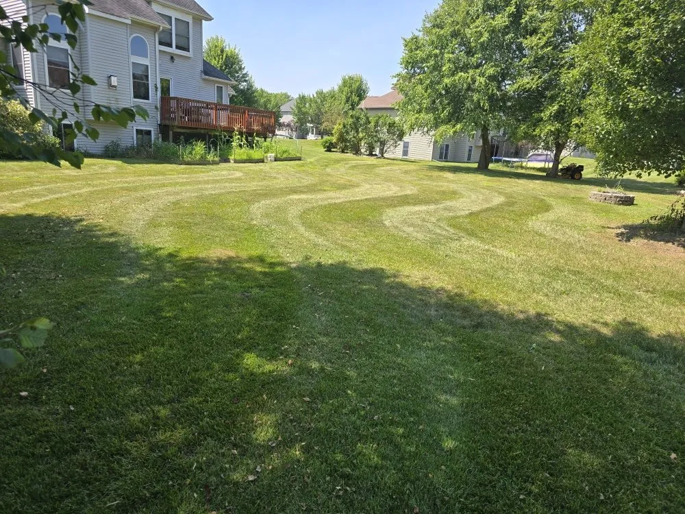 Expert landscape installation near you across Lansing, MI - Elite Outdoor Service