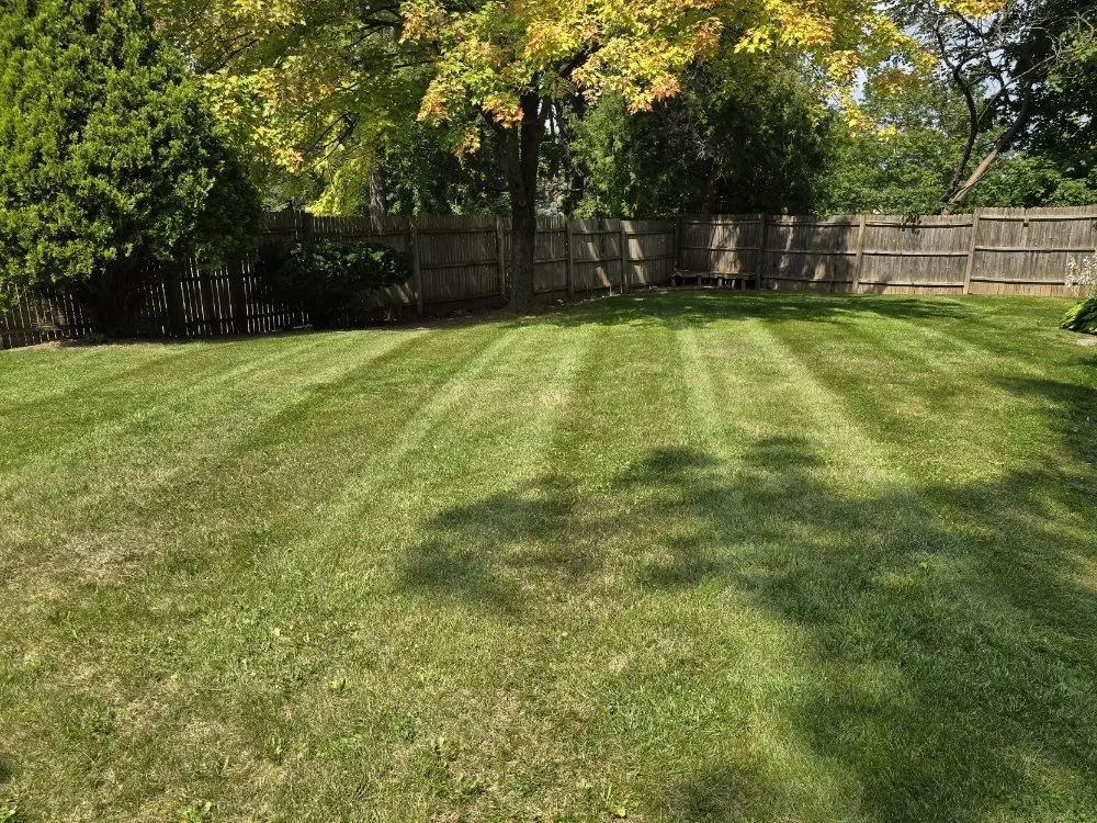Reliable landscape installation in Lansing, MI by Elite Outdoor Service