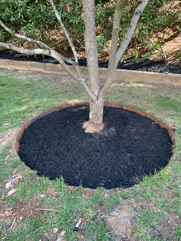 Top-rated landscape installation for residential properties across Asheville, NC - Elite Outdoors