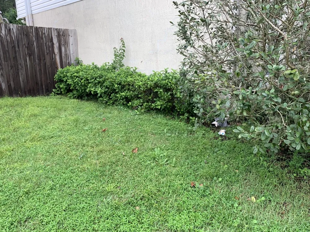 Top-rated landscape installation experts serving Yulee, FL - Elite Outdoors Lawn care & Landscaping