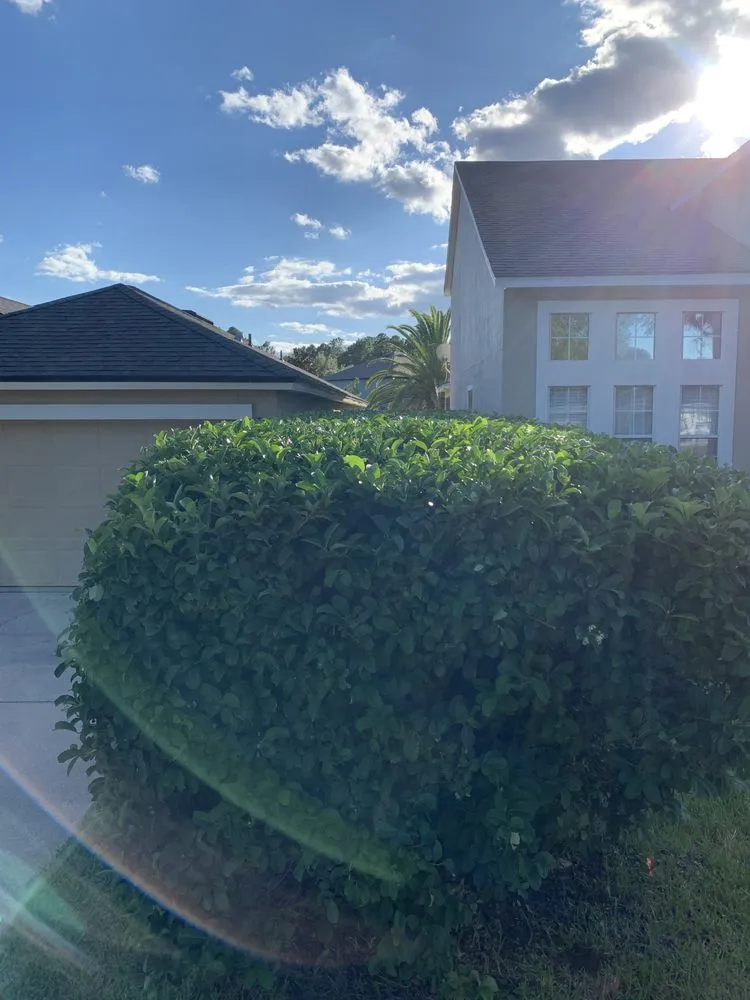 Professional garden landscaping for outdoor upgrades across Yulee, FL - Elite Outdoors Lawn care & Landscaping