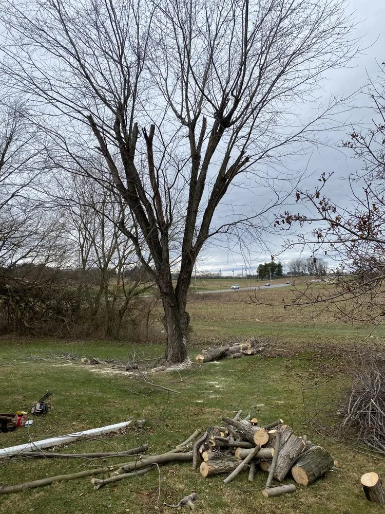 Professional lawn care service experts serving Gettysburg, PA - Elite Outdoors Lawn Care and Landscaping Services