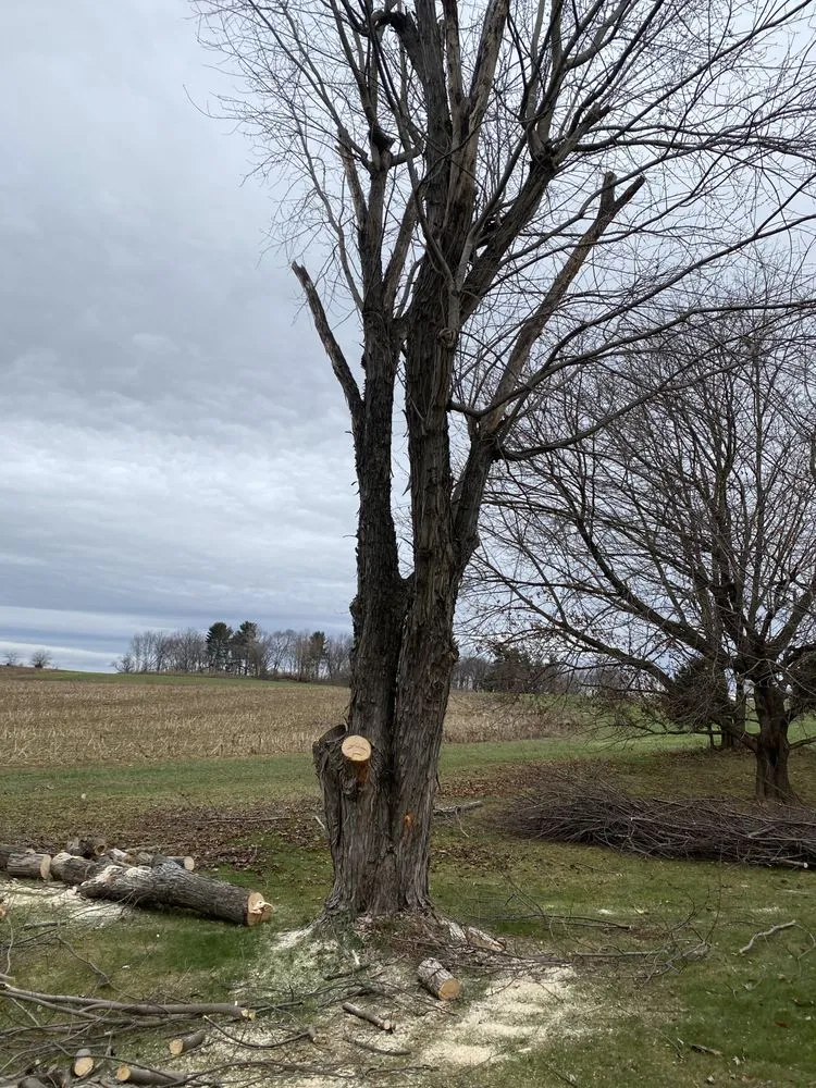 Top-rated lawn care service in Gettysburg, PA by Elite Outdoors Lawn Care and Landscaping Services