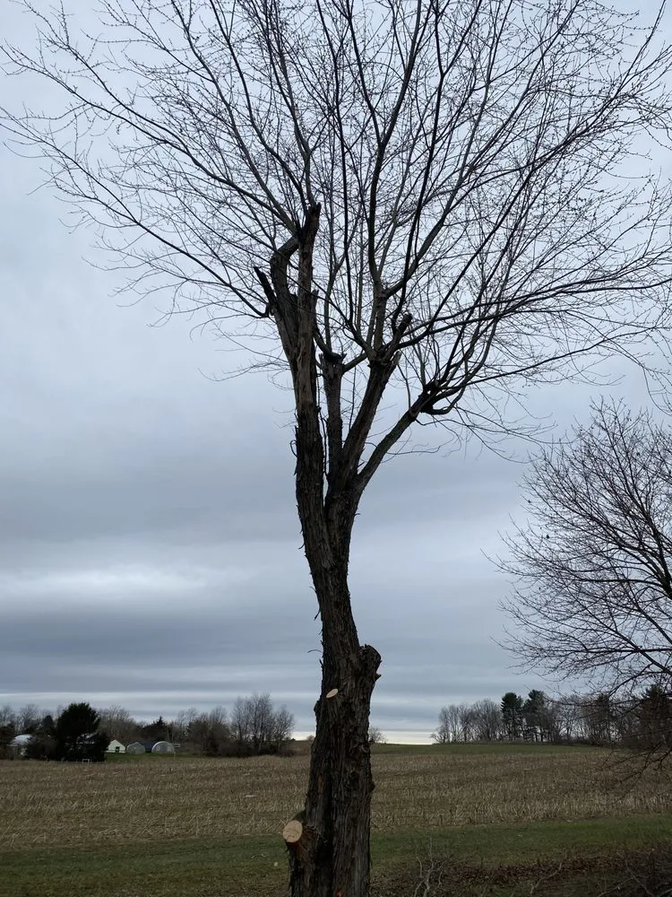 Expert garden landscaping experts serving Gettysburg, PA - Elite Outdoors Lawn Care and Landscaping Services