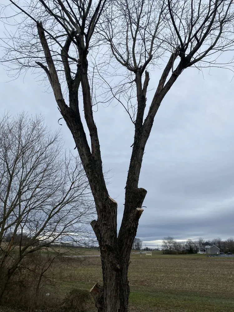 Trusted yard maintenance in Gettysburg, PA by Elite Outdoors Lawn Care and Landscaping Services