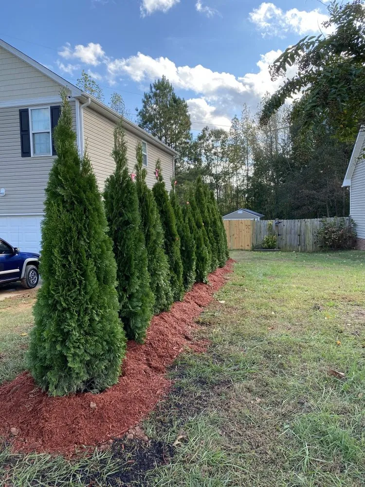 Reliable yard maintenance in Cameron, NC by Elite Painting & Landscaping