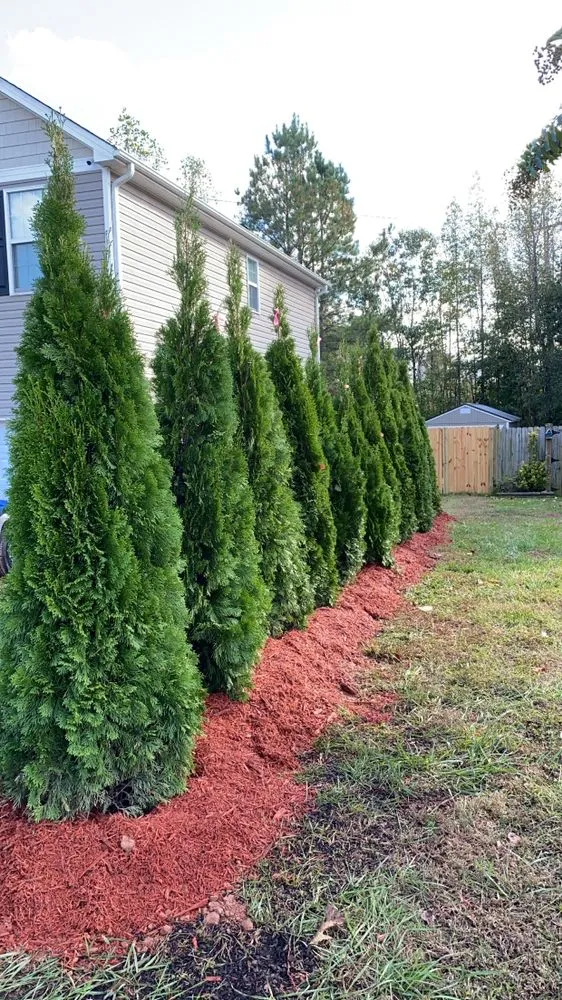 Trusted yard cleanup service experts serving Cameron, NC - Elite Painting & Landscaping