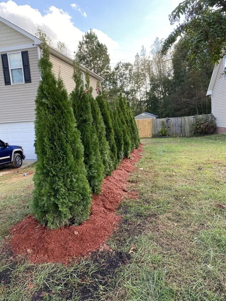 Custom lawn mowing service in Cameron, NC - Elite Painting & Landscaping