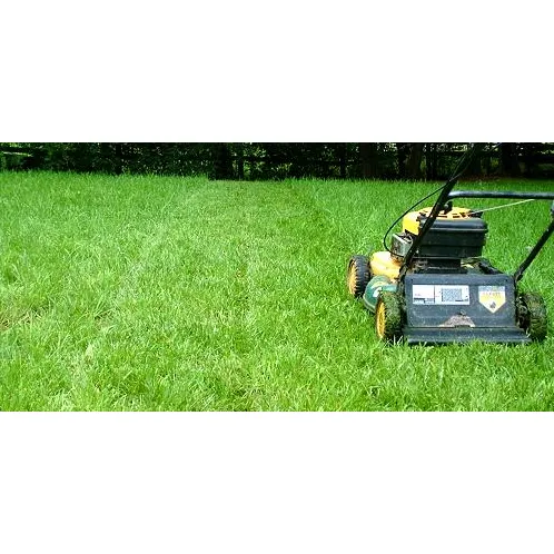 Professional lawn care service in Winchester, CA - Elite Plus Landscape Maintenance & Design