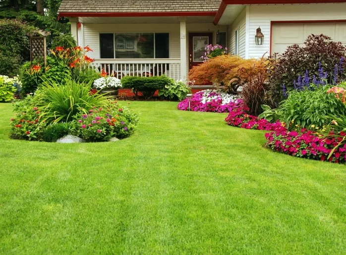 Reliable lawn mowing service for year-round maintenance in Winchester, CA by Elite Plus Landscape Maintenance & Design