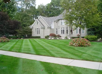 Professional lawn care service in Winchester, CA by Elite Plus Landscape Maintenance & Design
