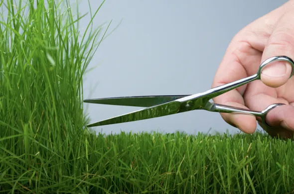 Elite Plus Landscape Maintenance & Design Logo