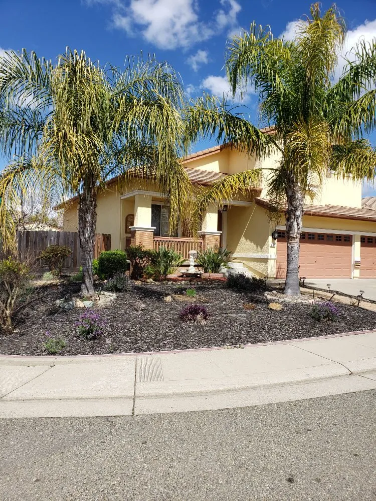 Expert landscape design for year-round maintenance in Frisco, TX by Elite Pools and Landscaping