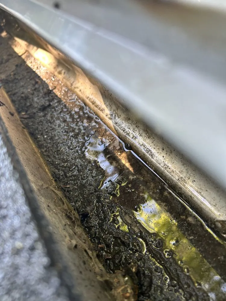 Affordable landscape design in Meridian, ID by Elite Power Clean