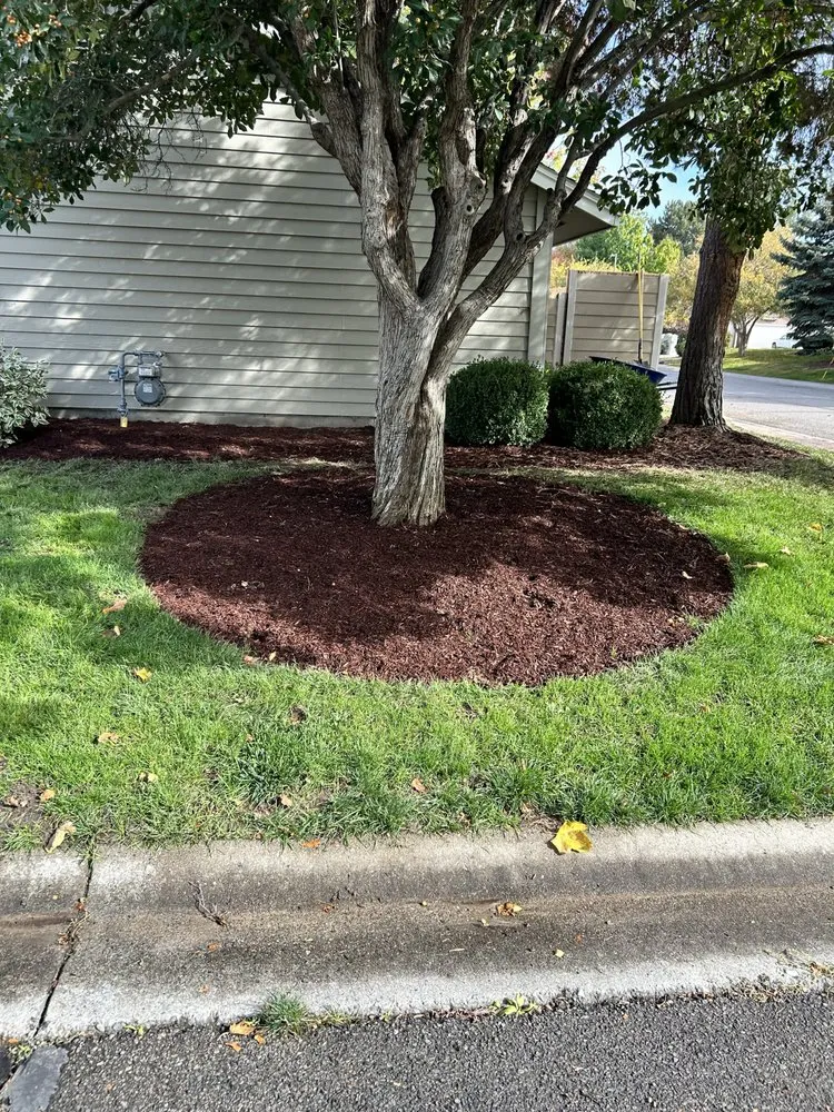 Expert landscape design for beautiful yards across Meridian, ID - Elite Power Clean