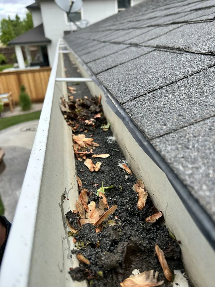 Professional landscaping services in Meridian, ID by Elite Power Clean