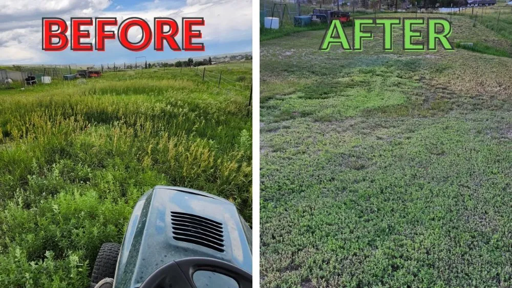 Custom landscape design with custom design in Cheyenne, WY by Elite Power Washing Services