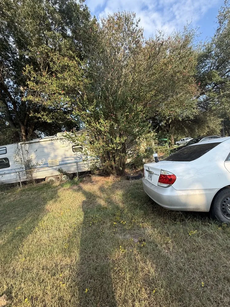 Affordable garden landscaping for year-round maintenance in Malakoff, TX by Elite Preservation Services