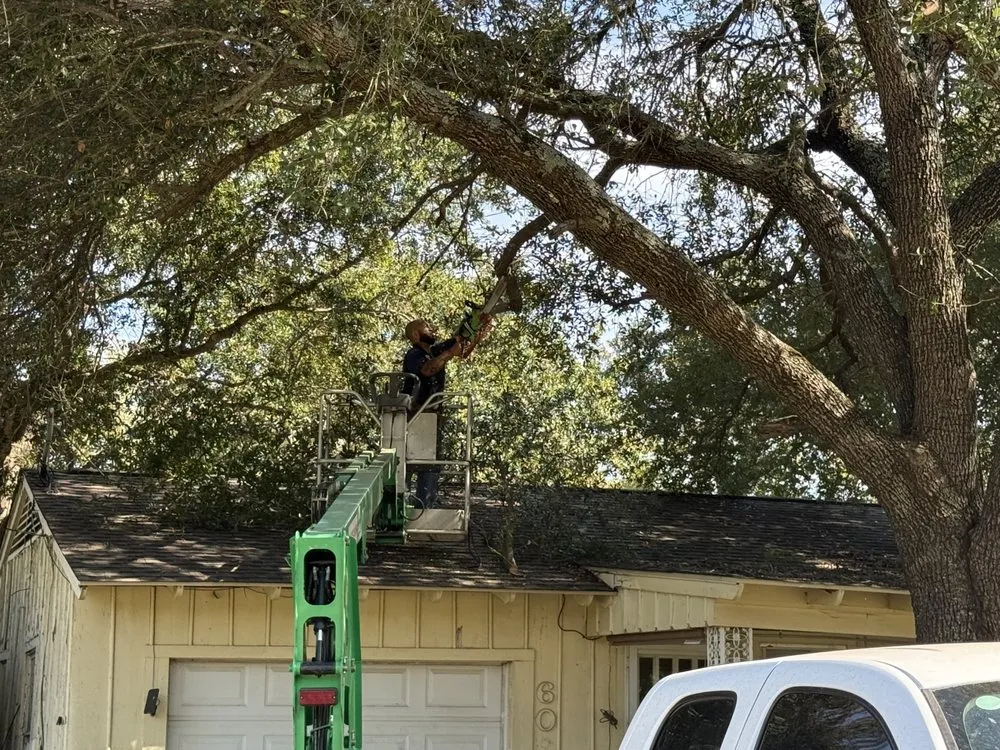 Trusted landscape design experts serving Malakoff, TX - Elite Preservation Services