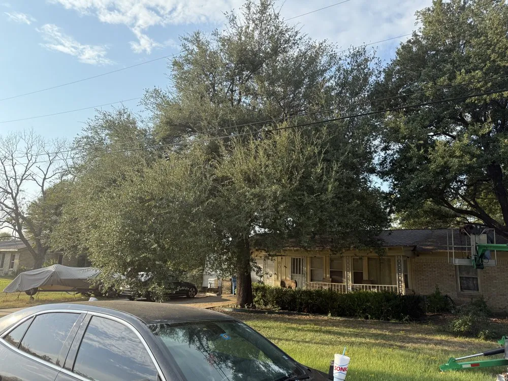 Local lawn mowing service with custom design across Malakoff, TX - Elite Preservation Services